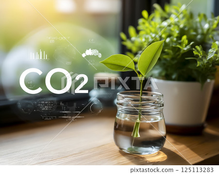 Green Tech: Image material of greenery grown in water on a windowsill Green Tech: Image material of greenery grown in water on a windowsill 125113283
