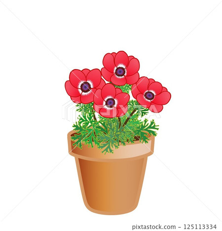 銀蓮花花盆插圖 銀蓮花花盆插圖 125113334