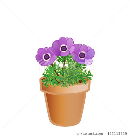 銀蓮花花盆插圖 銀蓮花花盆插圖 125113339