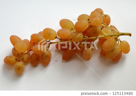 A delicious bunch of amber grapes. A delicious bunch of amber grapes. 125113480