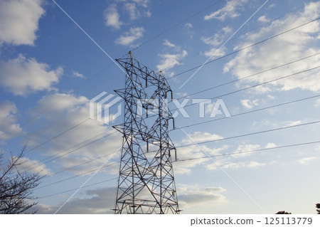 Tanematsuyama Park West Garden: Wintersweet season, evening view Tanematsuyama Park West Garden: Wintersweet season, evening view 125113779