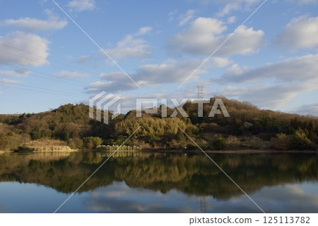 種鬆山公園西庭:臘梅時節、晚景 種鬆山公園西庭:臘梅時節、晚景 125113782