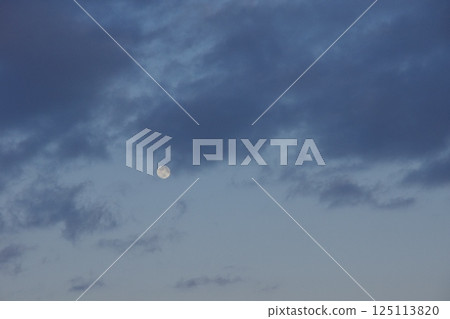 種鬆山公園西庭：臘梅時節、晚景 125113820