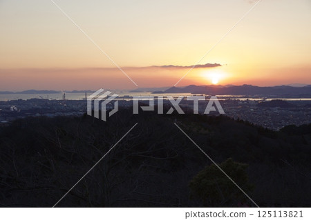 種鬆山公園西庭：臘梅時節、晚景 125113821