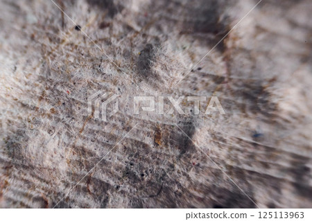 Paper sheet under the microscope. Close up view 125113963