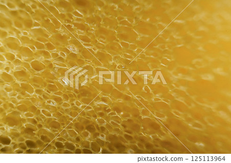 Domestic kitchen sponge under the microscope. Close up view 125113964