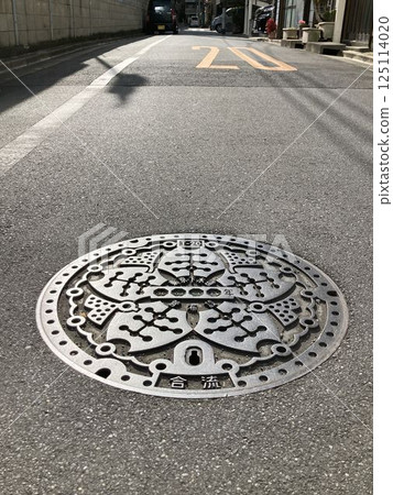 Manhole cover in Tokyo Manhole cover in Tokyo 125114020