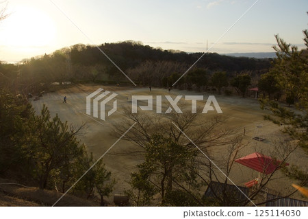 Tanematsuyama Park West Garden Evening Scene Wintersweet Season 125114030
