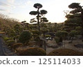 Tanematsuyama Park West Garden Evening Scene Wintersweet Season 125114033