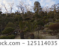 Tanematsuyama Park West Garden Evening Scene Wintersweet Season 125114035