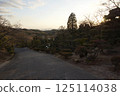 Tanematsuyama Park West Garden Evening Scene Wintersweet Season 125114038