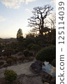 Tanematsuyama Park West Garden Evening Scene Wintersweet Season 125114039