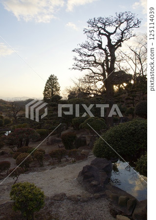 種鬆山公園西庭晚景 臘梅時節 125114039