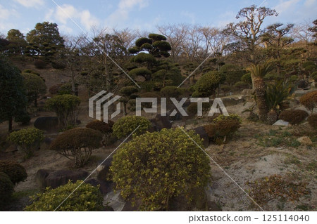種鬆山公園西庭晚景 臘梅時節 125114040