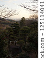 Tanematsuyama Park West Garden Evening Scene Wintersweet Season 125114041