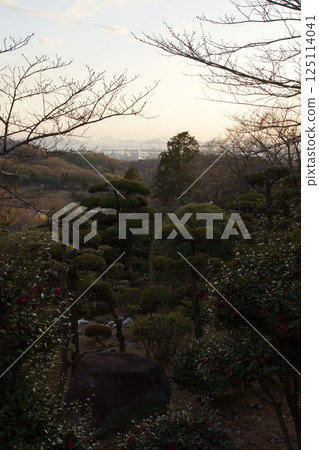 種鬆山公園西庭晚景 臘梅時節 125114041