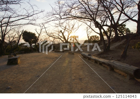 種鬆山公園西庭晚景 臘梅時節 125114043