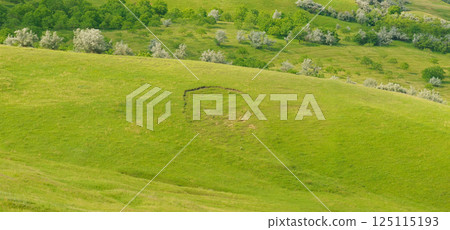 Green sloping meadows background. 125115193