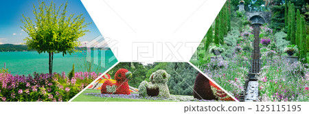 Beautiful colorful flowerbeds at island Mainau, Germany. Collage. Mosaic pattern. 125115195