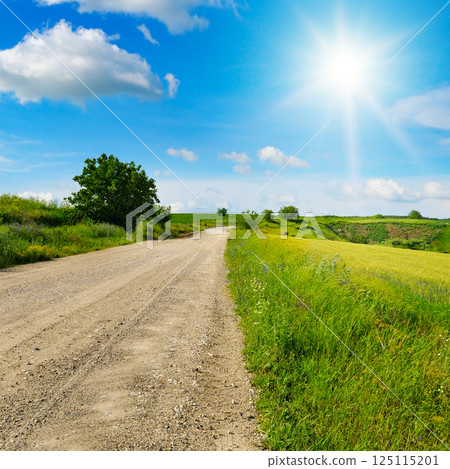 Wheat field, rural field road, hilly terrain and beautiful sun. 125115201
