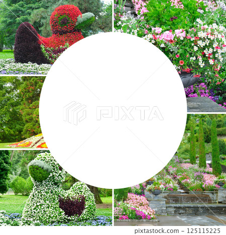 Beautiful colorful flowerbeds at island Mainau, Germany. Collage. Free space for text. 125115225