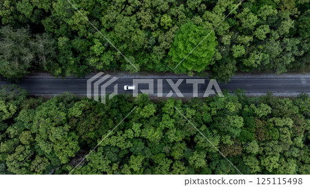 Top view green forest with car on the asphalt road, Car drive on the road in the middle of green forest tree, Forest road going through green forest tree with car. 125115498