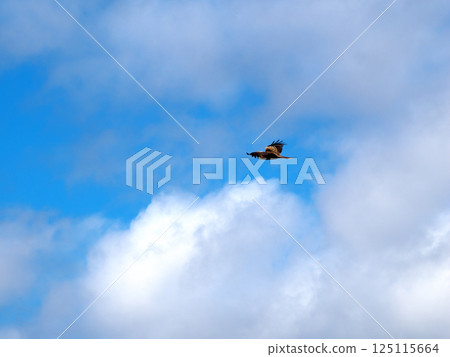 Kombies flying in the sky 125115664