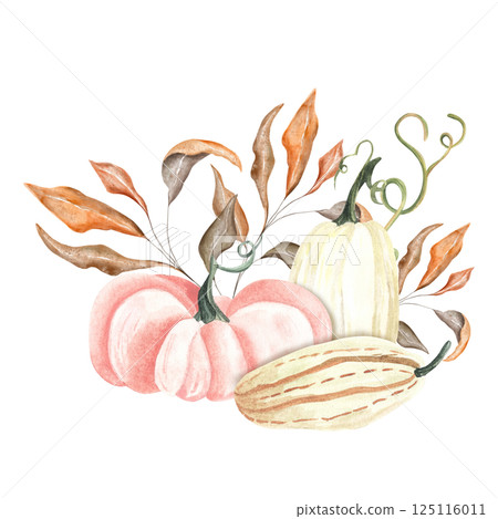 Watercolor hand drawn fall pumpkin arrangement, beautiful autumn decoration, isolated on white background. Watercolor white, pink vegetables with yellow and orange dry leaves and tree branches. 125116011