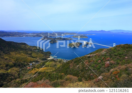 [Ehime Prefecture] The Kurushima Kaikyo Bridge (Shimanami Kaido) as seen from Kiroyama Observatory in spring when cherry blossoms are in bloom 125116261