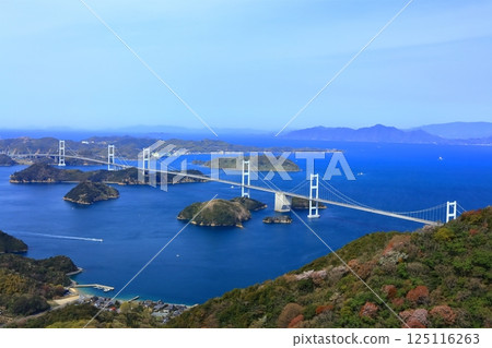 [Ehime Prefecture] The Kurushima Kaikyo Bridge (Shimanami Kaido) as seen from Kiroyama Observatory in spring when cherry blossoms are in bloom 125116263