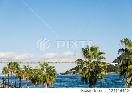 [Kanmon Bridge and palm trees from Karato Market] 125116460
