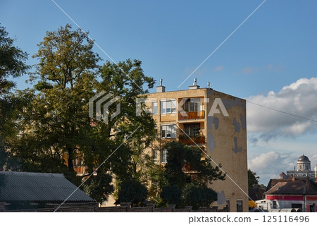 Block of Flats and Trees Block of Flats and Trees 125116496