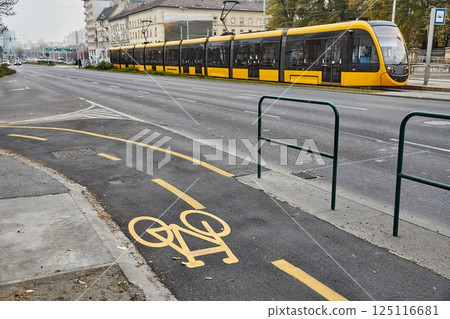 Bicycle lane signs in a city Bicycle lane signs in a city 125116681