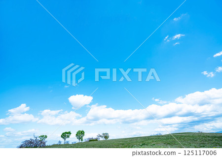 藍天和大草原 125117006