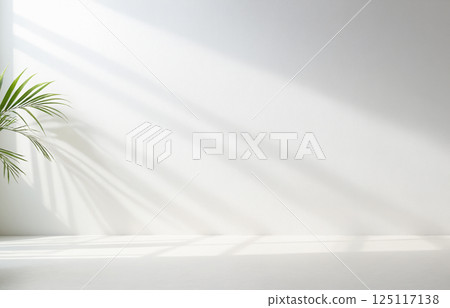 background with blurred foliage shadow on white wall 125117138