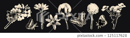 Spring flowers halftone collage elements set. Paper clipping shapes, floral stickers with vintage dotted texture, Cherry blossom, dandelion, daisy, poppy. Modern retro mixed media vector illustration 125117628
