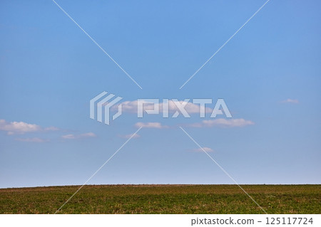 Blue sky over summer field in the countryside 125117724