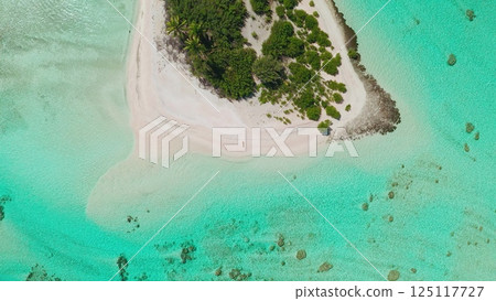 Aerial view of a woman walking on a white sandy beach in the maldives, with turquoise waters and palm trees creating a paradise setting for a luxurious vacation 125117727