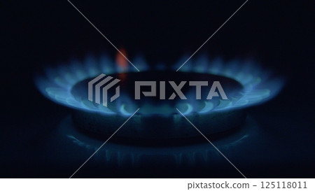 The Aesthetic Appeal of Illuminating Gas Flames Within the Enveloping Darkness Around Us The Aesthetic Appeal of Illuminating Gas Flames Within the Enveloping Darkness Around Us 125118011