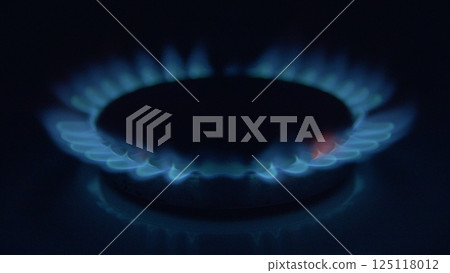 The Blue Flame Gas Burner is showcased in action, highlighting its efficiency and functionality The Blue Flame Gas Burner is showcased in action, highlighting its efficiency and functionality 125118012