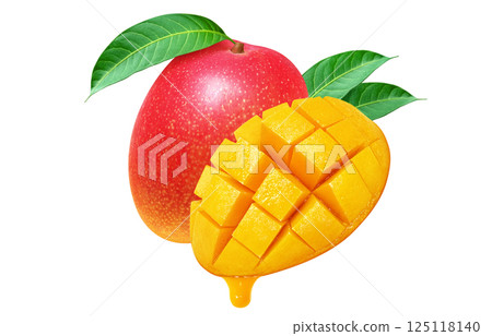 Mango illustration, realistic, fruit 125118140