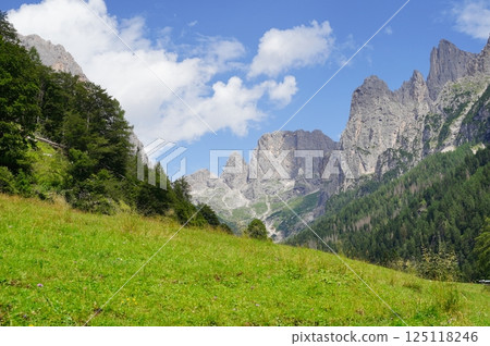 Majestic Mountain Landscape with Lush Green Meadow 125118246