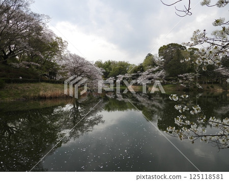 三井公園 125118581