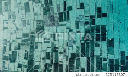Top down view of algae seaweed farm at Lembongan island in Indonesia 125118807