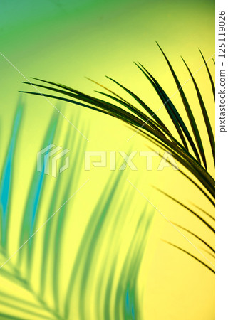 Tropical leaves in neon light with duotone shadows Tropical leaves in neon light with duotone shadows 125119026