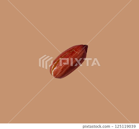 Peanuts isolated on color background 125119039