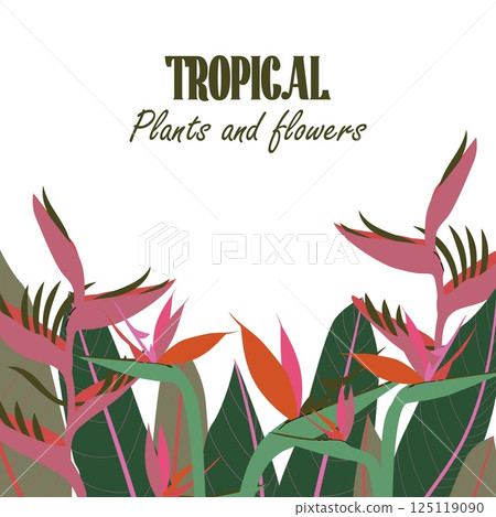 Square tropical layout with exotic Strelitzia flowers and leaves arranged at the top half of the frame. Template for seasonal banners, sales promo, product ads or branding content. Vector illustration Square tropical layout with exotic Strelitzia flowers and leaves arranged at the top half of the frame. Template for seasonal banners, sales promo, product ads or branding content. Vector illustration 125119090
