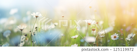 Wildflower meadow under blue sky on a sunny day 125119972