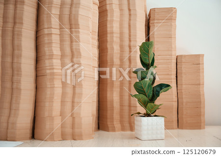 Many sheets in the printing house. A ficus plant in a pot opposite the objects 125120679