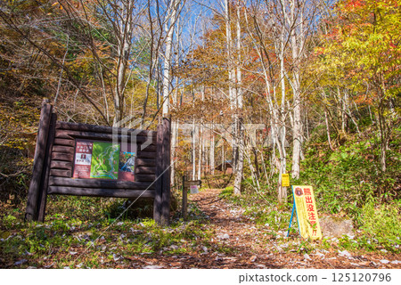 岐阜縣清見町紅葉季節的“大倉瀑布散步道及資訊板” 125120796